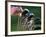 Selecting Golf Club-Mitch Diamond-Framed Photographic Print