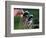 Selecting Golf Club-Mitch Diamond-Framed Photographic Print