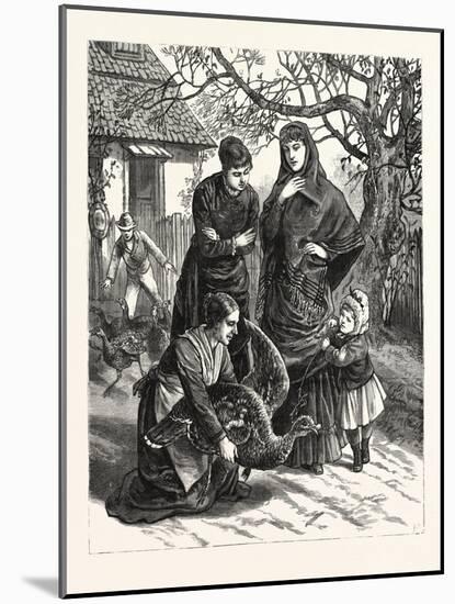 Selecting the Thanksgiving Turkey, 1880 1881-null-Mounted Giclee Print