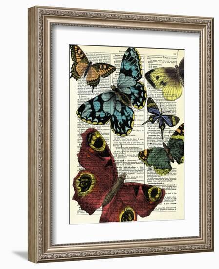 Selection of Butterflies-Marion Mcconaghie-Framed Giclee Print