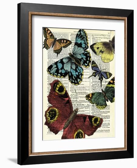 Selection of Butterflies-Marion Mcconaghie-Framed Giclee Print