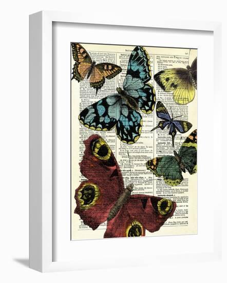Selection of Butterflies-Marion Mcconaghie-Framed Giclee Print