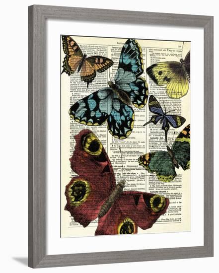 Selection of Butterflies-Marion Mcconaghie-Framed Art Print