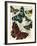 Selection of Butterflies-Marion Mcconaghie-Framed Art Print