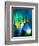 Selection of Glassware Used In Chemical Research-Tek Image-Framed Premium Photographic Print