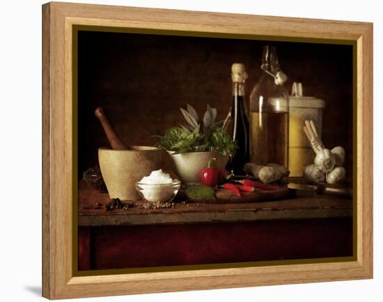 Selection of Spicey Ingredients and Herbs Used in Cooking-Steve Lupton-Framed Premier Image Canvas