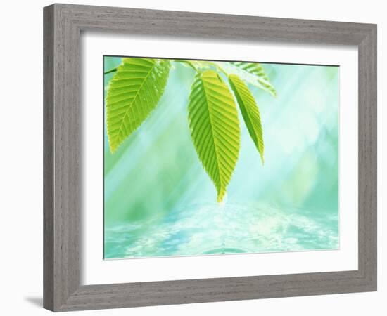 Selective Focus Close Up of Green Leaves Above Water Ripples in Blue-null-Framed Photographic Print