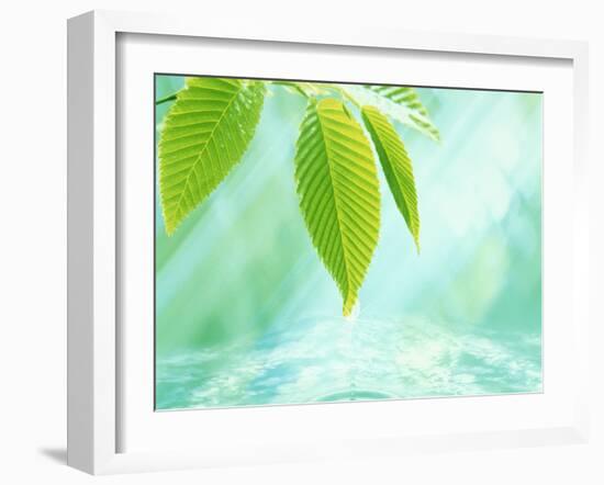 Selective Focus Close Up of Green Leaves Above Water Ripples in Blue-null-Framed Photographic Print