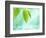 Selective Focus Close Up of Green Leaves Above Water Ripples in Blue-null-Framed Photographic Print