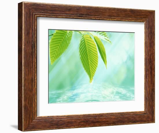 Selective Focus Close Up of Green Leaves Above Water Ripples in Blue-null-Framed Photographic Print