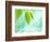 Selective Focus Close Up of Green Leaves Above Water Ripples in Blue-null-Framed Photographic Print