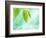 Selective Focus Close Up of Green Leaves Above Water Ripples in Blue-null-Framed Photographic Print