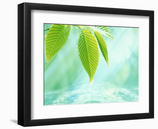 Selective Focus Close Up of Green Leaves Above Water Ripples in Blue-null-Framed Photographic Print