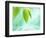 Selective Focus Close Up of Green Leaves Above Water Ripples in Blue-null-Framed Photographic Print