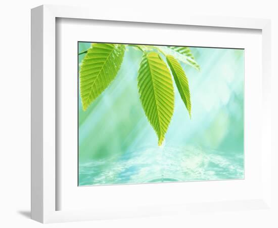 Selective Focus Close Up of Green Leaves Above Water Ripples in Blue-null-Framed Photographic Print