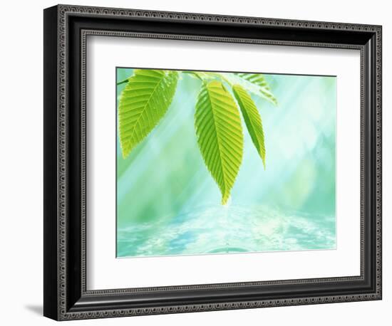 Selective Focus Close Up of Green Leaves Above Water Ripples in Blue-null-Framed Photographic Print