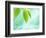 Selective Focus Close Up of Green Leaves Above Water Ripples in Blue-null-Framed Photographic Print