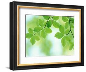 Selective Focus Close Up of Green Leaves Hanging from Tree-null-Framed Photographic Print