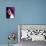 Selena Gomez-null-Photo displayed on a wall