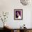 Selena Gomez-null-Framed Photo displayed on a wall