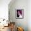 Selena Gomez-null-Framed Photo displayed on a wall