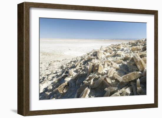 Selenite Crystals on a Dried Lake Bed-Louise Murray-Framed Photographic Print