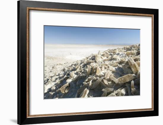 Selenite Crystals on a Dried Lake Bed-Louise Murray-Framed Photographic Print