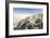 Selenite Crystals on a Dried Lake Bed-Louise Murray-Framed Photographic Print