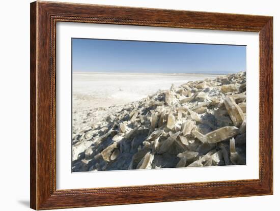 Selenite Crystals on a Dried Lake Bed-Louise Murray-Framed Photographic Print