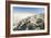 Selenite Crystals on a Dried Lake Bed-Louise Murray-Framed Photographic Print