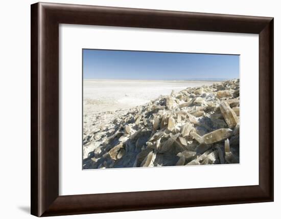 Selenite Crystals on a Dried Lake Bed-Louise Murray-Framed Photographic Print