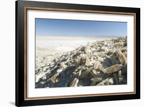 Selenite Crystals on a Dried Lake Bed-Louise Murray-Framed Photographic Print