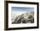 Selenite Crystals on a Dried Lake Bed-Louise Murray-Framed Photographic Print