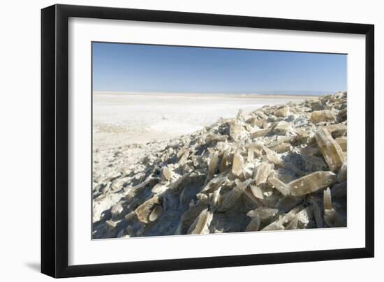 Selenite Crystals on a Dried Lake Bed-Louise Murray-Framed Photographic Print