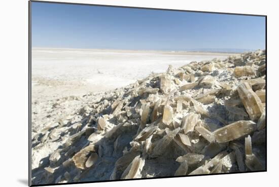 Selenite Crystals on a Dried Lake Bed-Louise Murray-Mounted Photographic Print