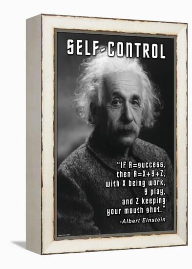 Self-Control, Einstein-null-Framed Stretched Canvas