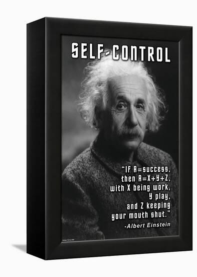 Self-Control, Einstein-null-Framed Stretched Canvas