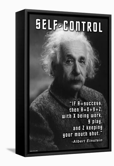 Self-Control, Einstein-null-Framed Stretched Canvas