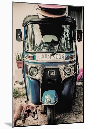 Self Drive-Shot by Clint-Mounted Giclee Print