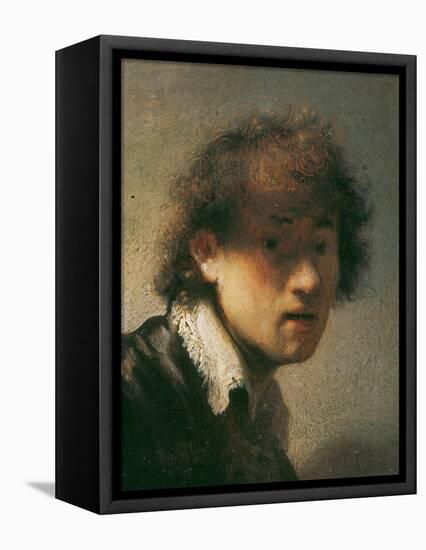 Self Portrait, 1629-Rembrandt van Rijn-Framed Premier Image Canvas