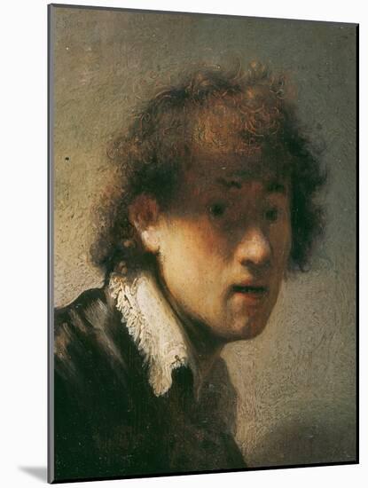 Self Portrait, 1629-Rembrandt van Rijn-Mounted Giclee Print