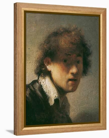 Self Portrait, 1629-Rembrandt van Rijn-Framed Premier Image Canvas