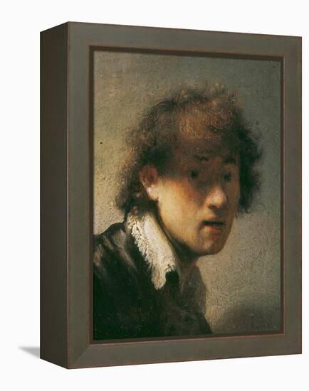 Self Portrait, 1629-Rembrandt van Rijn-Framed Premier Image Canvas