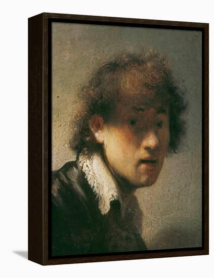 Self Portrait, 1629-Rembrandt van Rijn-Framed Premier Image Canvas