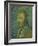 Self-Portrait, 1889 (Oil on Canvas)-Vincent van Gogh-Framed Giclee Print