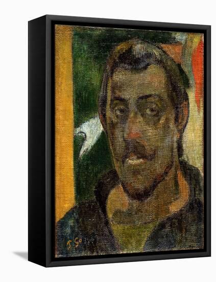 Self-Portrait, 1890-1894-Paul Gauguin-Framed Premier Image Canvas
