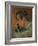 Self Portrait, 1896-Paul Gauguin-Framed Giclee Print