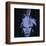 Self Portrait, 1986-Andy Warhol-Framed Art Print