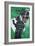 Self-portrait as a Heel Part Two-Jean-Michel Basquiat-Framed Premium Giclee Print