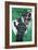 Self-portrait as a Heel Part Two-Jean-Michel Basquiat-Framed Premium Giclee Print